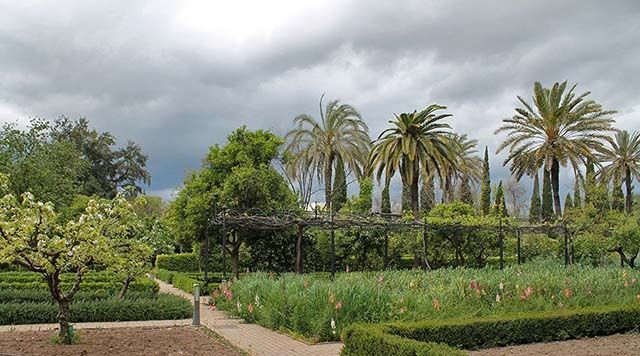 Escuela botánica del jardín botánico