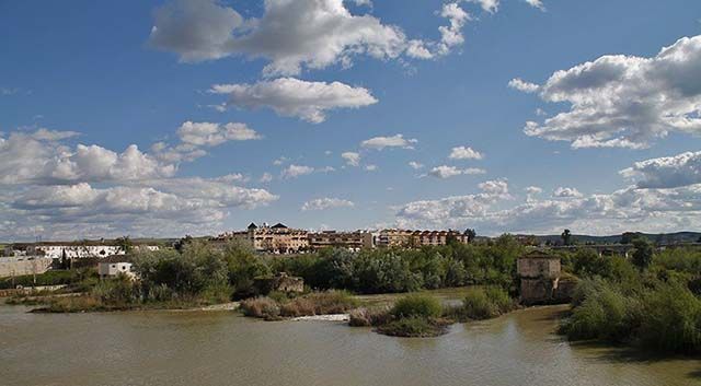 Molino de Enmedio
