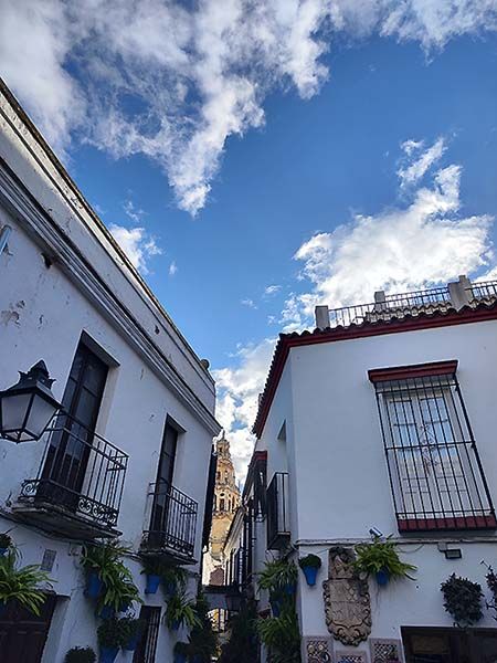 Vistas de la Mezquita de Córdoba desde la Calleja de las Flores