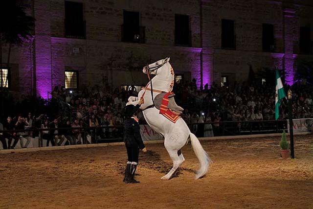 Exhibición en las caballerizas reales de Córdoba