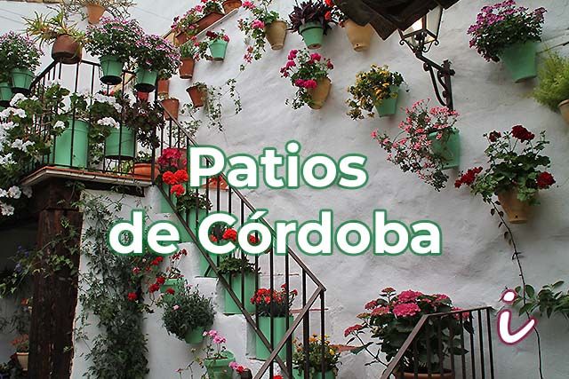 imagen de un patio de Córdoba