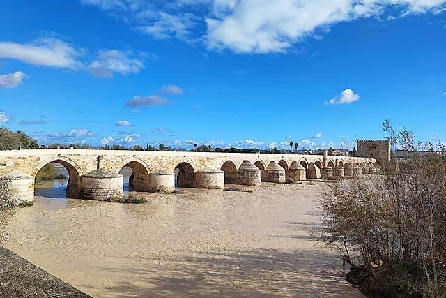 vistas del puente romano y del caudal del río Guadalquivir junto a los Sotos de la  Albolafia