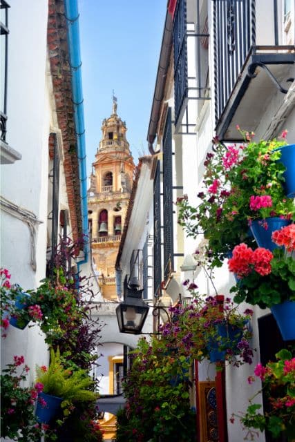 vistas de la torre de la mezquita desde la Calleja de las Flores