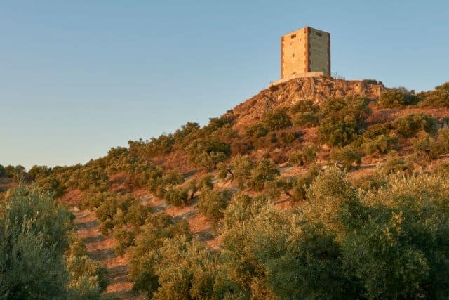 Castillo Anzur visto desde abajo de la colina