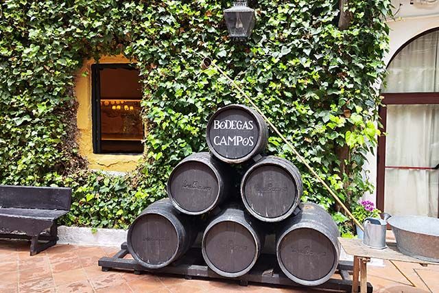 barriles en uno de los patios de Bodegas Campos