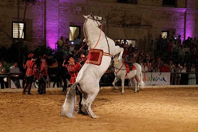 espectáculo de caballos en las Caballerizas Reales
