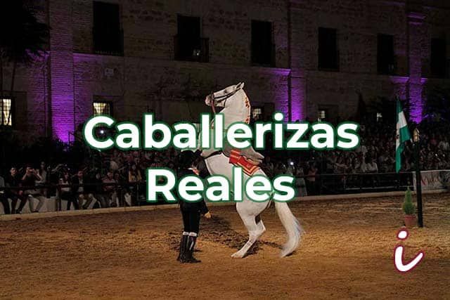 imagen del espectáculo de las Caballerizas Reales de Córdoba